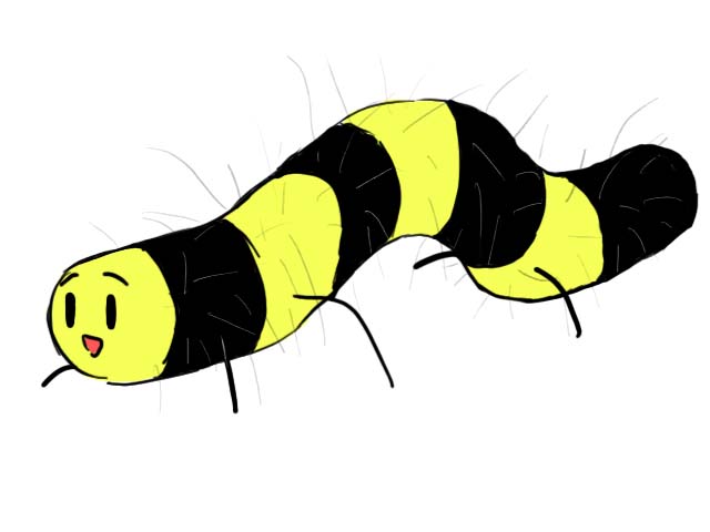 夢に出てきた虫